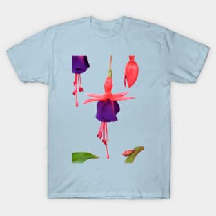 Fuchsia  FuchsiaBerry T-Shirt